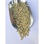 Yerli Yeşil Mercimek (Yozgat)  1 kg