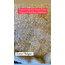 Esmer Bulgur 1 kg ( çiğ köftelik )