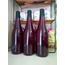 PANCAR KVASS 1 LT (SİRKELİ)