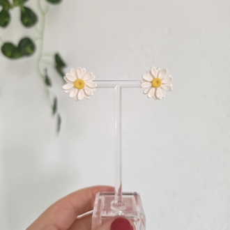 Daisy