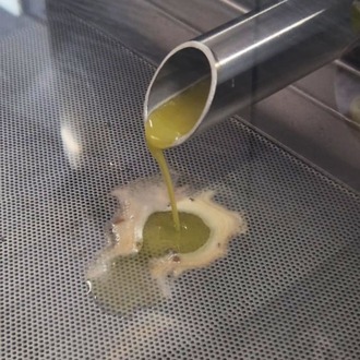 5LT Teneke Erken Hasat Soğuk Sıkım Zeytinyağı Naturel Sızma (Yeni Sezon)