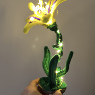KÜÇÜK BOY RAPUNZEL ÇİÇEĞİ LAMBA KİTİ