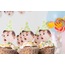 1. Yaş Doğum Günü Kapkek Süsü - 1st Birthday Cupcake Topper