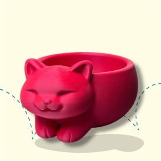 Pofidik Pati