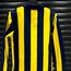Fenerbahçe Zaferin Rengi