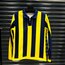 Fenerbahçe Zaferin Rengi