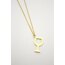 Kadeh Kolye | Gold