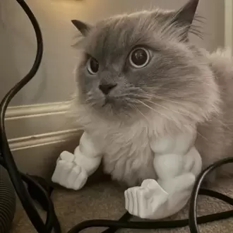 Evcil Hayvanlar İçin Hulk’s Arm 