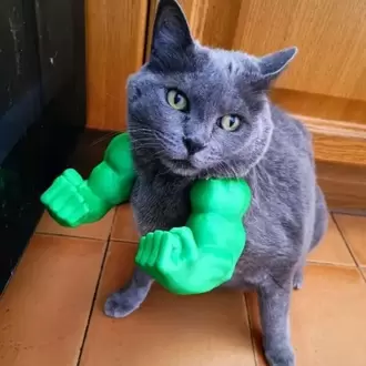 Evcil Hayvanlar İçin Hulk’s Arm 