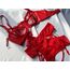 Gül Jartiyer Bralet Seti