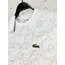 ⚡️ Lacoste Beyaz Desenli T-Shirt