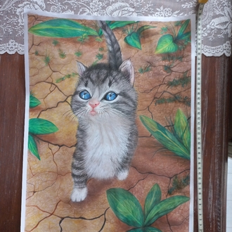 Yavru Kedi