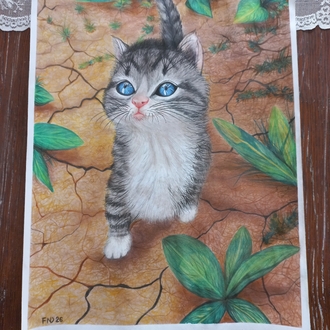 Yavru Kedi