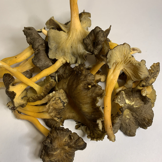 Taze civciv ayagi mantari 1 kg