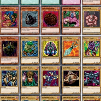 Yu-gi-oh Duel Monster PANİK Türkçe Açıklamalı Destesi