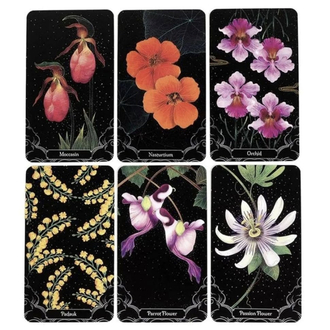 A Little Rain Botanical Oracle