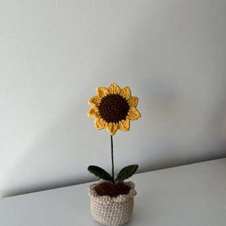Sunflower pot