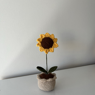Sunflower pot