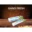 GANO FRESH