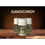 GANOCORDY