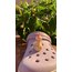 Serbest gezen tavuk crocs tokası