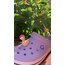 Serbest gezen tavuk crocs tokası