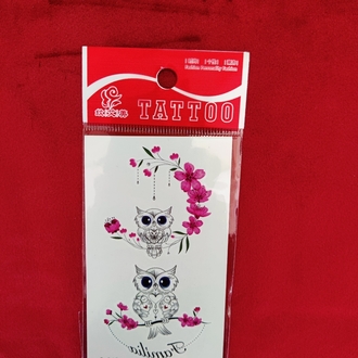 Şirin Kuşlar 10*6 cm