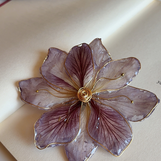 Bauhinia Toka