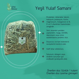 Şifalı Bitkiler - Yeşil Yulaf Samanı (250 Gram)