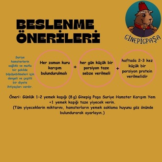 Suriye Hamster Karışım Yemi (Ginepig Paşa Özel Formülü)