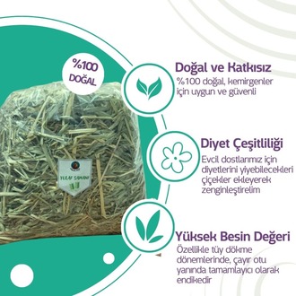 Şifalı Bitkiler - Yeşil Yulaf Samanı (250 Gram)