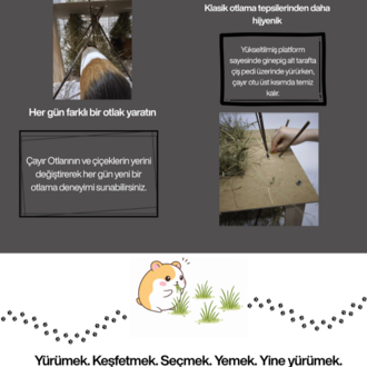 GinepigPaşa Ginepig Otlağı + Kütük Otluk