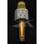 WSTER WS-858 KARAOKE MİKROFON BLUETOOTH HOPARLÖR AUX USB MİKRO SD KART GİRİŞLİ