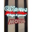MOTUL AYNA SÜSÜ
