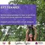 Reiki, EFT, Regresyon, Sarkaç