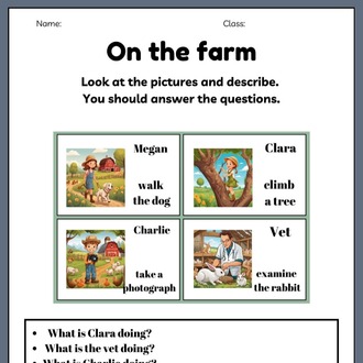 DESCRIBING PICTURES