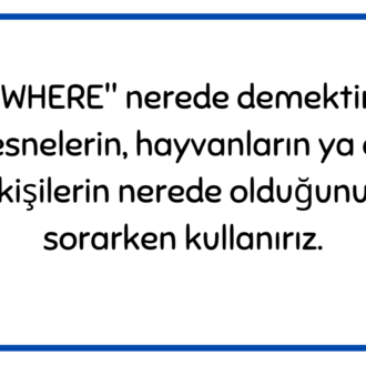 WHERE QUESTION CARDS