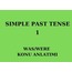 SIMPLE PAST TENSE 1. BOOKLET