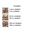 SIMPLE PAST TENSE 1. BOOKLET