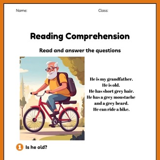READING COMPREHENSION WORKSHEETS 5
