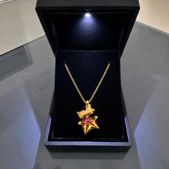 IŞIKLI KUTUDA İÇİ AÇILABİLEN GOLD YILDIZ KOLYE ÇELİK