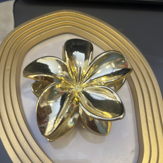 Lotus gold toka