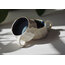 Boulder Mini Mug (Beyaz)