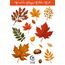 Sonbahar Çiçeğim - Sticker -