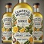 zencefil sarısak lımon bal dogal detox sirkesi 
