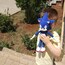 sonic & shadow pdf pattern