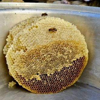 (1 kg) ÖRME SEPET KARAKOVAN BALI 