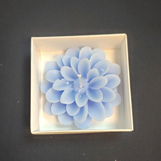 Lotus mum (25’li)