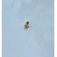 Habitas- Brillant Star Piercing