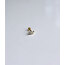 Habitas- Queen Piercing